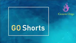 GO Shorts - (ACCA FR) What is a Monetary Item