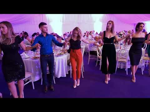 Nunta Mihai si Cristina, Plenita 2019, clip 2