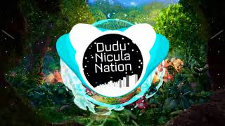 Ballpoint - Poinsetta Bass Boosted