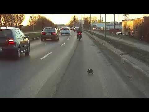 Chiński motocykl..