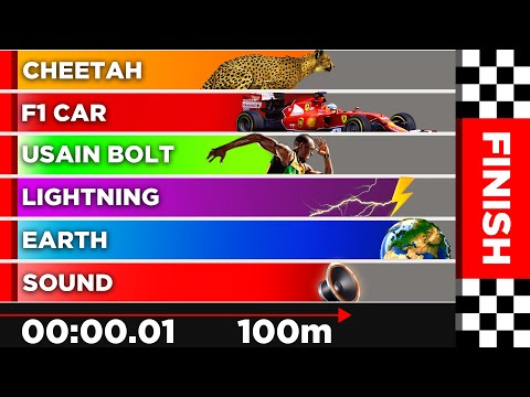 Race Simulation: Fastest Things In The Universe