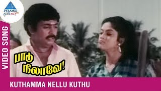 Paadu Nilave Tamil Movie Songs | Kuthamma Nellu Kuthu Video Song | Mohan | Nadhiya | Ilayaraja