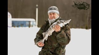 Способы ловля осетра на платнике зимой