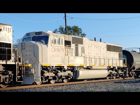 Canadian National Primer Unit 🎨 😬