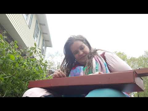 Playing my cardboard dulcimer an original tune