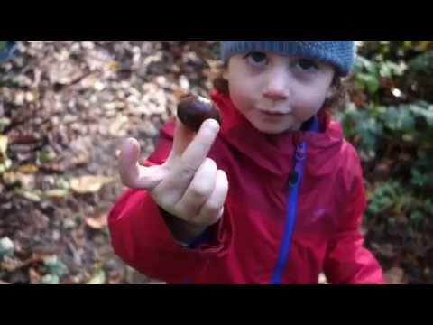 A Rose Among Thorns ~ Dulce Pontes (The Mission/ Ennio Morricone)