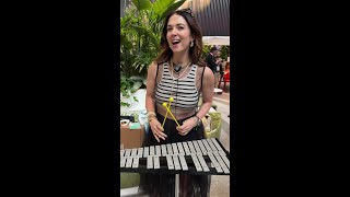 Download lagu and just like that, a jingle is born @MissMooreStyle mp3