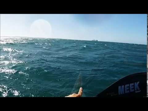 Special Downwind Surfski Paddle - The Woodies Run 15/01/17