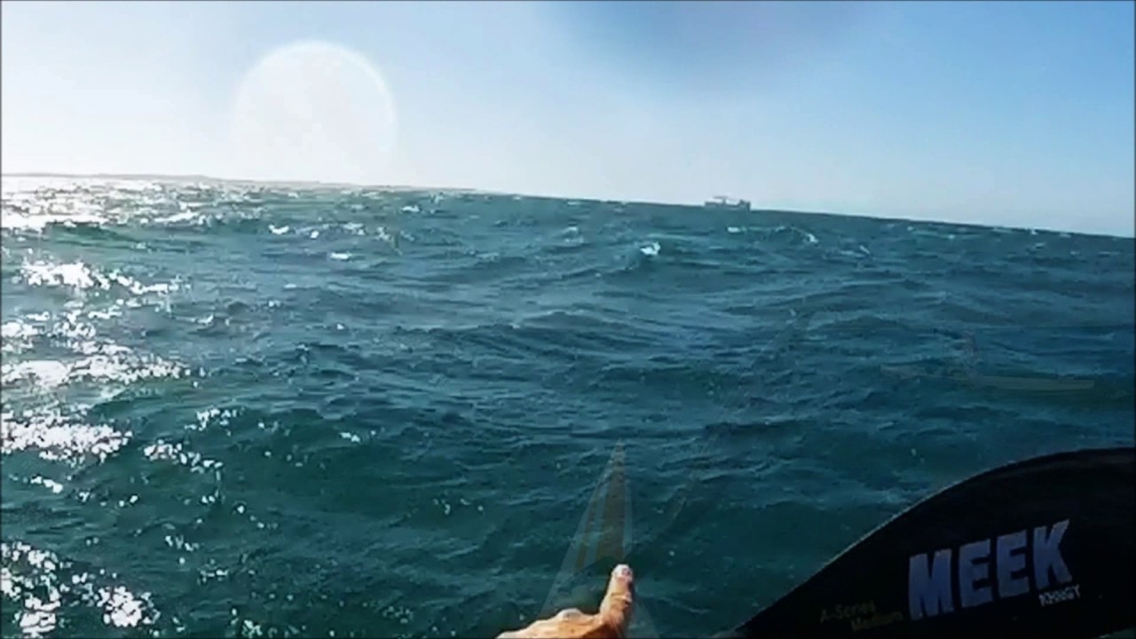 Special Downwind Surfski Paddle - The Woodies Run 15/01/17