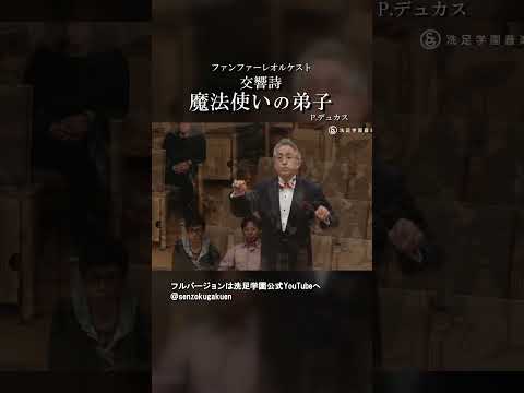魔法使いの弟子