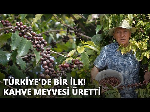 , title : 'Türkiye'de bir ilk... Kahve meyvesi üretti'