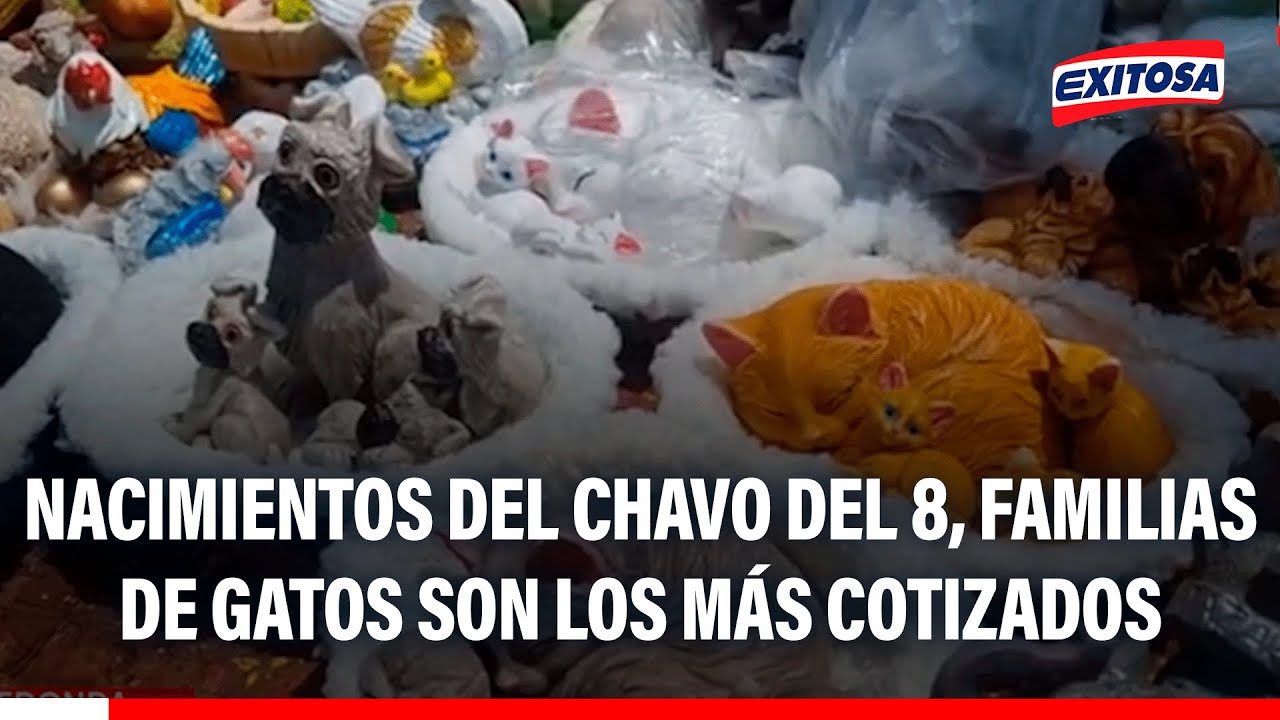 🔴🔵 Nacimiento del Chavo del 8, Universitario, Alianza Lima y familias de gatos son los más cotizados