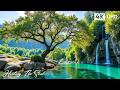 Gentle Relaxing Music Soothing Piano Music Helps Heal The Soul Nature Sounds For Stress Relief 3