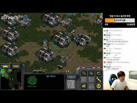 ※Newbies Be Sure to Watch This! FlaSh's 200% Newbie Tutorial Guide!! Episode 1| TvP Factory FE
