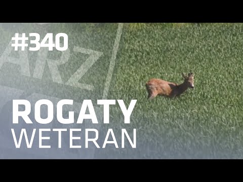 Darz Bór odc 340 - Rogaty weteran