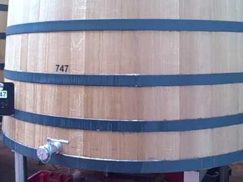 The 2009 Burgundy harvest