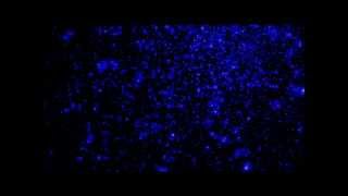 I Want You To Need Me - Celine Dion w/Lyrics