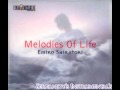 Final Fatasy IX - Melodies of Life - Instrumental ...