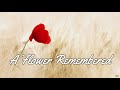 A Flower Remembered (English subtitles)