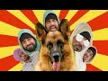 Brown Mom Married A Dog