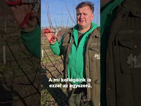 Melyik a legjobb metszőolló? videó