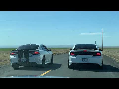 2013 Dodge Charger Super Bee vs 2019 Dodge Charger Scatpack