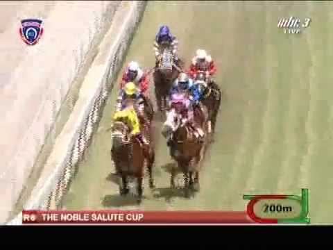 2015.04.04 The Noble Salute Cup (MRI) - Polar Royale