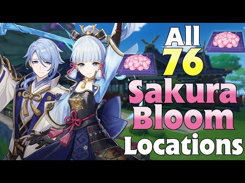 All 76 Sakura Bloom Locations | Ayaka, Ayato Ascension Material | Fast and Efficient Farming Route