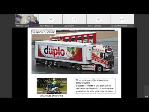 05b Istologia Ghiandole Endocrine Introduzione canale B