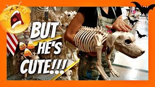 HALLOWEEN TIME!!  in the SUMMER?! / Halloween Shopping At Joann's Fabric Store 2017