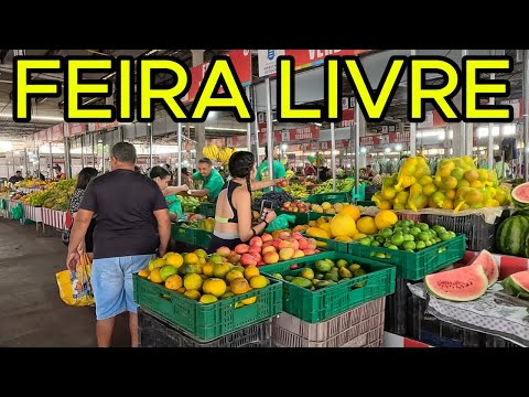 FEIRA LIVRE DE MARECHAL DEODORO - AL | MOSTRANDO A FEIRA INTEIRA | 4K UHD