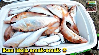 Download lagu Fishing for the Fish Every Mom Loves in Belitung!! Caught a Whole Box Full mp3