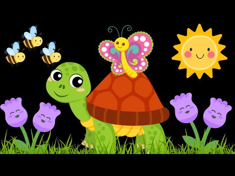 Peekaboo Butterfly baby sensory video with high contrast for visual stimulation