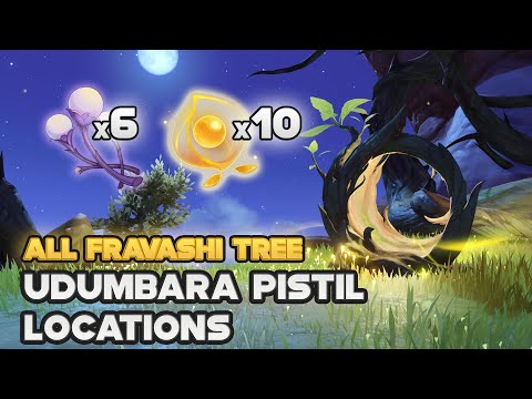 All 10 Fravashi Tree Locations: Udumbara Pistil & Plume of Purifying Light | Genshin Impact 3.6
