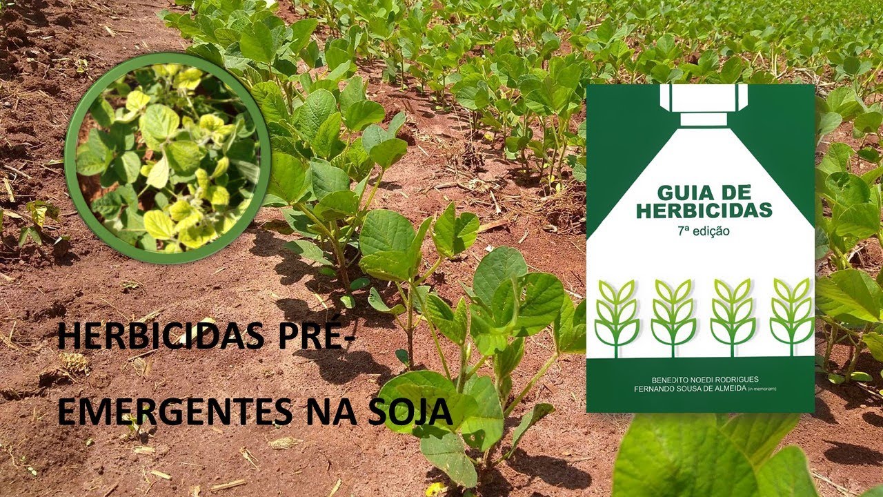 QUAIS SÃO OS HERBICIDAS PRÉ-EMERGENTES NA SOJA?