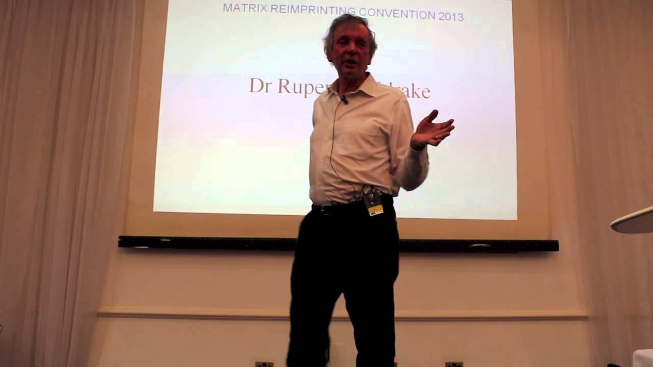 Matrix Reimprinting Convention 2013 (3)