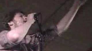 Clumsy Lovers at Oyster Ridge Music Festival 4