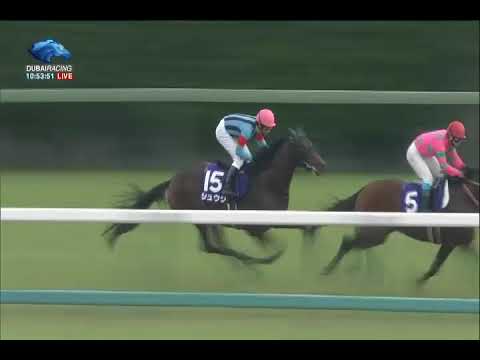 Sprinters Stakes G1 - 01\10\2017  - Red Falx