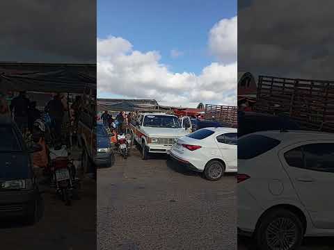 bom dia meus amigos feira livre do btn em Paulo Afonso #viralvideo #pauloafonsobahia