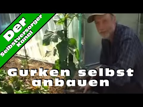, title : 'Der richtige Anbau von Schlangengurken'
