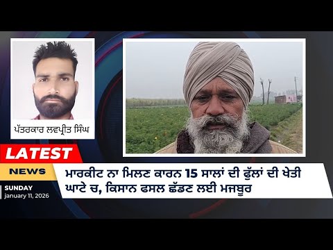ਮਾਰਕੀਟ ਨਾ ਮਿਲਣ ਕਾਰਨ 15 ਸਾਲਾਂ ਦੀ ਫੁੱਲਾਂ ਦੀ ਖੇਤੀ ਘਾਟੇ ‘ਚ, ਕਿਸਾਨ ਫਸਲ ਛੱਡਣ ਲਈ ਮਜਬੂਰ