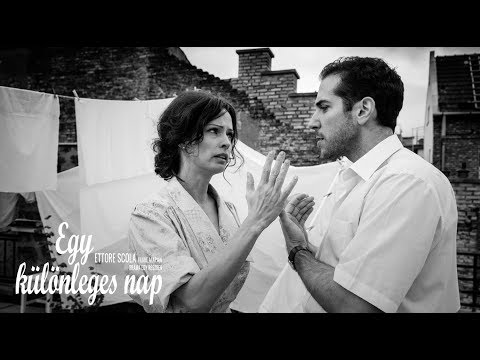 Egy különleges nap - WERK / Spot forgatás