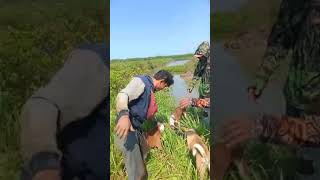 Download lagu mang IMAT kang due empang mp3