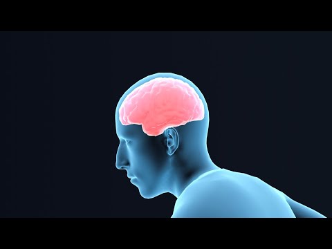 Synaptische Plastizität - was hat sie mit Lernen + Gedächtnisbildung zu tun ?