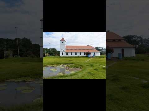 "TEFÉ AM: O Coração da AMAZÔNIA e o segredo de Mamirauá! #TefeAM, #Amazonas, #RioSolimoes, #Mamiraua