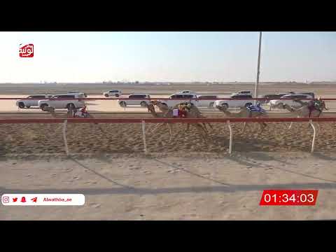  ش 16 (هملوله) لـ سعادة محمد العوضي بن يحيى المنهالي 2:18:60 ، شارة الصندوق 2026/7/25 فطامين الوثبة