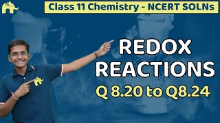 Redox Reactions Class 11 Chemistry | Chapter 8 Ncert Solutions Questions 20-24