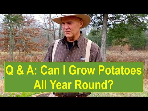 download lagu mp3 mp4 What Potatoes Are In Season Now, download lagu What Potatoes Are In Season Now gratis, unduh video klip What Potatoes Are In Season Now