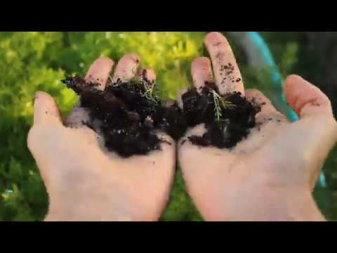 Five of the world's biggest environmental problems