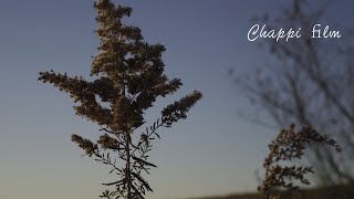 【CINEMATIC VLOG】カメラ初心者がシネマティク風に撮影してみた